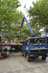 Ραντίζονται τα πλατάνια της Παιονίας