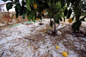 Φάρσαλα: Ολοκληρωτική ζημιά από το χαλάζι στις καλλιέργειες