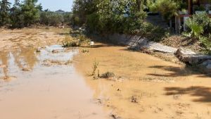 Χαλκιδική: Νεκρός σε ρέμα στην Βουρβουρού ο αγνοούμενος ηλικιωμένος