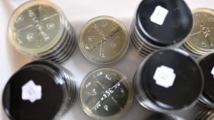 Βρετανία: Μετανάστες απομακρύνονται από τη φορτηγίδα όπου είχαν εγκατασταθεί από τις Αρχές