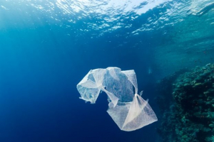 Η Μεσόγειος κινδυνεύει να μετατραπεί σε «πλαστική θάλασσα»