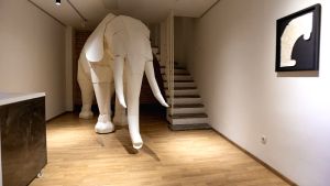 Δράμα: Ο «Ελέφαντας στο Δωμάτιο» φέρνει μια «πράξη ανυπακοής» στην GALLERY13