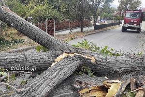 Κάποτε τα κόβουμε (πριν πέσουν στα κεφάλια μας)