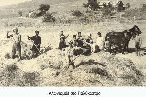 Θανάσης Βαφειάδης: Αλωνισμός