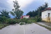 Ξερίζωσε δέντρα η κακοκαιρία του Σαββάτου στο ν. Κιλκίς. Επέμβαση της Πυροσβεστικής σε 19 περιπτώσεις