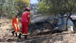 Φωτά στο νησί Ρήνεια