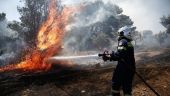 Ξάνθη: Έλεγχο απέκτησε η φωτιά στην Γενισέα του δήμου Αβδήρων