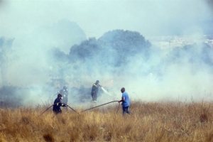 Πύρινα μέτωπα σε Αχαΐα και Ηλεία