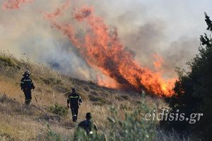 Φωτιά ανάμεσα σε Τέρπυλλο και Ευκαρπία – Κάηκαν περίπου 60 στρέμματα