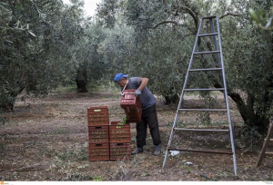 Μέχρι τις 15 Ιουνίου οι αιτήσεις ενίσχυσης αγροτών για το 2018