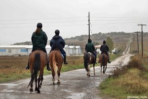 Ιππικός Όμιλος Κιλκίς: Εκπαιδευτικό Σεμινάριο με θέμα το άθλημα της Ιππικής Αντοχής