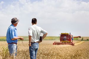 Συνδεδεμένες ενισχύσεις στον τομέα των σιτηρών για την περίοδο 2023-2027 και χρήση πιστοποιημένου σπόρου σποράς