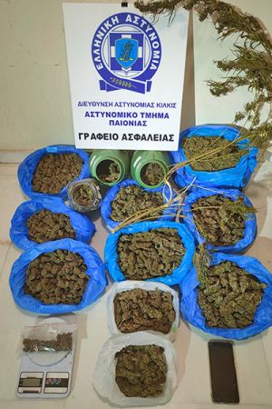 Οι αστυνομικοί της Παιονίας... ξετρύπωσαν 4,2 κιλά κάνναβης στην Ημαθία