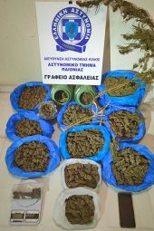 Οι αστυνομικοί της Παιονίας... ξετρύπωσαν 4,2 κιλά κάνναβης στην Ημαθία