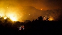 Υπό έλεγχο μετά την ολονύχτια μάχη με τις φλόγες στα Περιβόλια Ηλείας