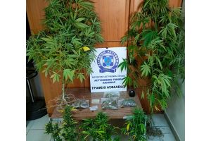 Αστυνομικοί της Παιονίας συνέλαβαν άνδρα για καλλιέργεια κάνναβης, ενώ κατείχε ηρωίνη και 46 φυσίγγια