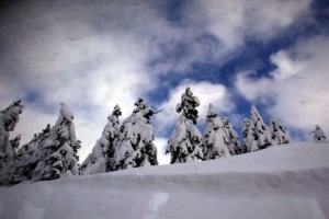 Χιονοδρομικό Κέντρο Παρνασσού: Τροποποιήθηκαν οι περιβαλλοντικοί όροι