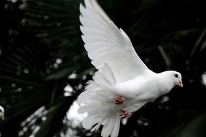 Πώς αμείβεται η ημέρα του Αγίου Πνεύματος