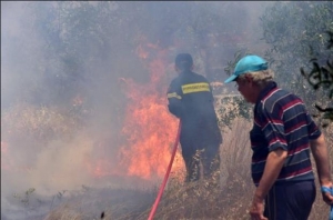 Δασικές πυρκαγιές στην Πετρούπολη και τον Ασπρόπυργο