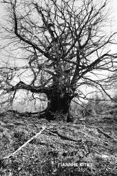 Την συνάντησα εκεί που στέκει αμέτρητους αιώνες τώρα...