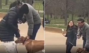 Ο Βρετανός Πρωθυπουργός δέχθηκε παρατήρηση λόγω… του σκύλου του