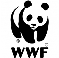 Το 40% των πυρκαγιών κάθε χρόνο προκαλείται από αμέλεια