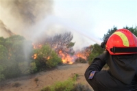 Σε ύφεση η δασική πυρκαγιά στο Πόρτο Ράφτη Αττικής
