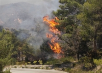 Υπό έλεγχο η φωτιά στη Χαλκιδική - Νέα φωτιά στη Λακωνία