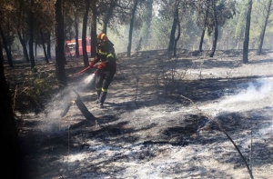 Αναδασωτέες όλες οι καμένες εκτάσεις, με εγκύκλιο που εξέδωσε ο Σ.Φάμελλος