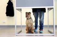 Γερμανία: Το ξενοφοβικό AfD «μπαίνει» και στα τρία περιφερειακά κοινοβούλια