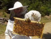 Θεώρηση μελισσοκομικών βιβλιαρίων