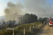 Φωτιά στον κάμπο της Δοϊράνης κοντά στη σιδηροδρομική γραμμή
