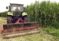 «Απομεταλλαγμένη» ζώνη η Ελλάδα