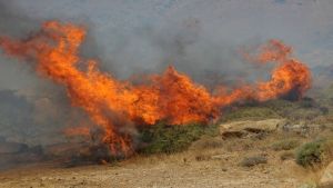Καρδία Θεσσαλονίκης: Πυρκαγιά σε εξέλιξη