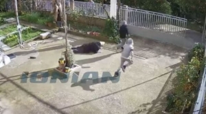 Σπάρτη: Ανήλικοι επιτέθηκαν και έκλεψαν 82χρονη