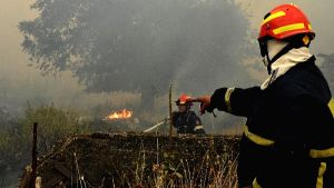Έλεγχος της πυρκαγιάς σε δασική περιοχή στο Μυρτόφυτο Παγγαίου Καβάλας