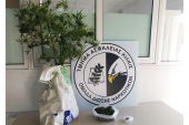 Καλλιεργούσαν κάνναβι στη Θεσσαλονίκη και τους συνέλαβαν αστυνομικοί του Κιλκίς