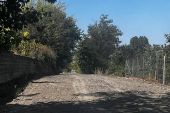 Διαπλάτυνση και διαμόρφωση του δρόμου στο αλσύλλιο της Ζωοδόχου Πηγής