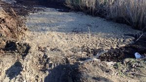 Κατηγορίες σε πρόεδρο τροφίμων για ρύπανση σε προστατευμένη περιοχή κοντά στον Αξιό