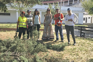 Καλλωπισμός Θεάτρου Λόφου και Θερινού Κινηματογράφου