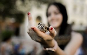 Θεσσαλονίκη: Βόας σε πάρκο της Τούμπας