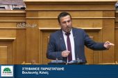 ΒΙΝΤΕΟ: Για την ψήφο των αποδήμων η παρθενική ομιλία του Στέφανου Παραστατίδη στη Βουλή