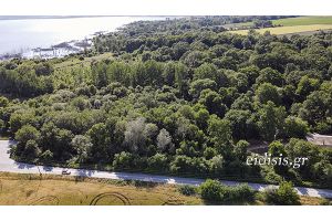 Επισκέψιμα τα Χίλια Δένδρα Μουριών μέσω Leader