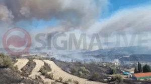 Κύπρος: Μεγάλη πυρκαγιά στην Πάφο – Εκκενώνονται χωριά (ΒΙΝΤΕΟ)