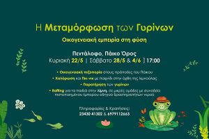 H Μεταμόρφωση των Γυρίνων στο Πάικο
