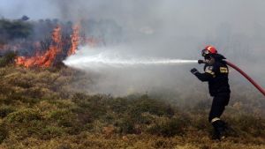 Θεσσαλονίκη: Πυρκαγιά στην Πυλαία – Μεγάλη κινητοποίηση της Πυροσβεστικής