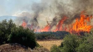 Πυρκαγιές σε τρεις περιοχές του Κιλκίς: Εστίες φωτιάς σε Λιθωτό και Πολύκαστρο