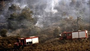 Πυρκαγιά στον λόφο Κούλα στις Σέρρες: Υπό πλήρη έλεγχο η κατάσταση