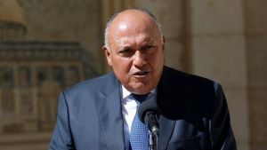 Αιγύπτιος ΥΠΕΞ: Χρειάζεται πολύ δουλειά ακόμη για να αποκατασταθούν οι σχέσεις με την Άγκυρα