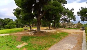 Δήμος Θεσσαλονίκης: Εθελοντική δράση Καθαρισμού στους Κήπους του Πασά